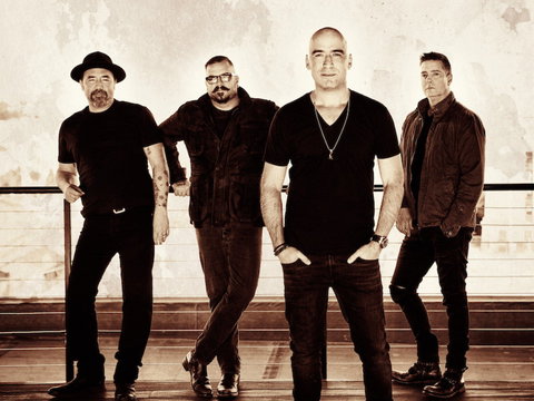 Under The Southern Stars - Gosford - Lismore Accommodation 0