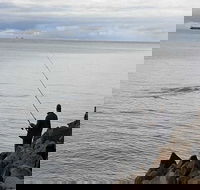 Whale Watching in Portland - Lismore Accommodation