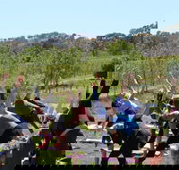 Yoga in the Vines - Lismore Accommodation