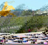 Yoga in the Vines - Lismore Accommodation