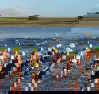 Yungaburra Triathlon - Lismore Accommodation