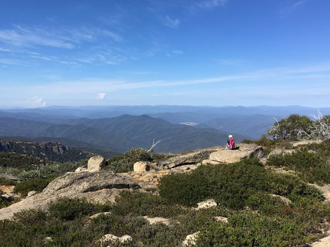 Hedonistic Hiking's Buffalo And Bubbles - Lismore Accommodation 1