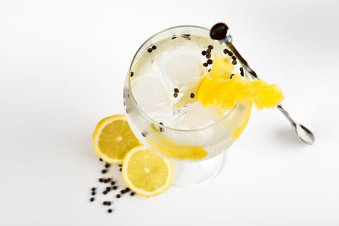 Online Live Streaming Class: Make Four Gin Cocktails - Lismore Accommodation 0