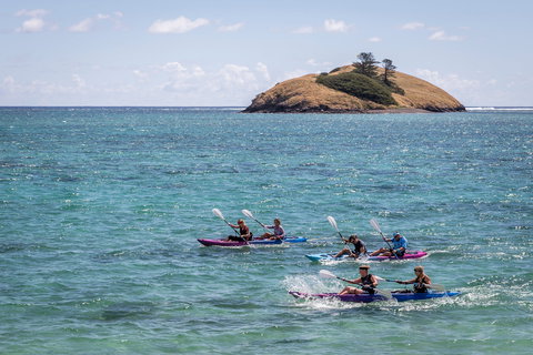 Summer Festival Of  Lord Howe Island - Lismore Accommodation 1