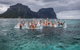 Summer Festival Of  Lord Howe Island - thumb 2