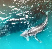 Ningaloo Lodge Exmouth - Lismore Accommodation