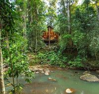 The Canopy Rainforest Treehouses and Wildlife Sanctuary - Lismore Accommodation