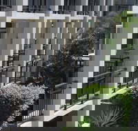 Paradiso Resort Kingscliff - Lismore Accommodation