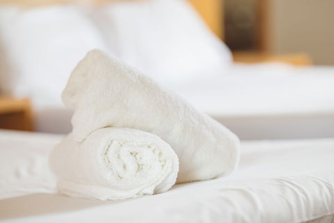 Garden Lodge Sydney - Lismore Accommodation 4