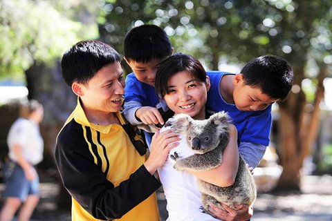 Sand Castles On Currumbin Beach - Lismore Accommodation 4