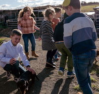 Hunter Valley Resort - Lismore Accommodation