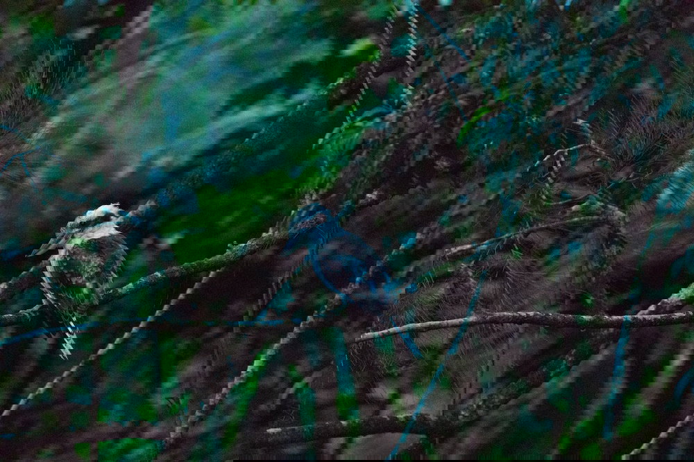  Lismore Accommodation