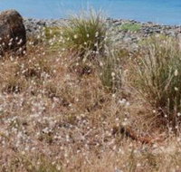 Schouten House - Lismore Accommodation