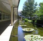 ANU University House Hotel - Lismore Accommodation