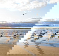 El Paso Motor Inn - Lismore Accommodation