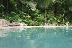 Book Cow Bay Accommodation Vacations Lismore Accommodation Lismore Accommodation