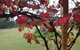 Woolshed Hill Estate - thumb 1