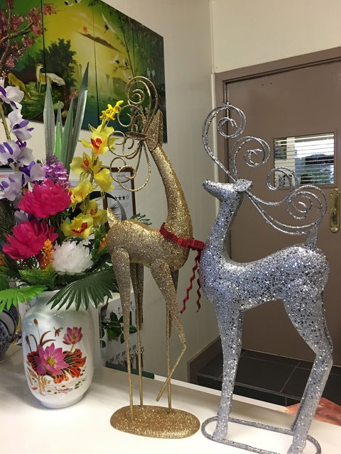 Statesman Motor InnÂ  - Lismore Accommodation 5