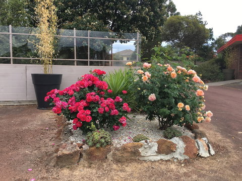 Statesman Motor InnÂ  - Lismore Accommodation 0