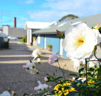 Captains At The Bay - Lismore Accommodation