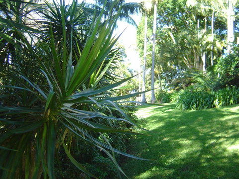 Sensom Luxury Bed & Breakfast - Lismore Accommodation 2