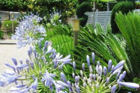 Highfields Motel Toowoomba - Lismore Accommodation 5