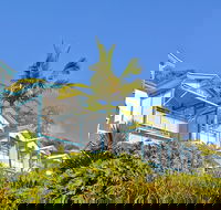 Tangalooma Island Resort - Lismore Accommodation