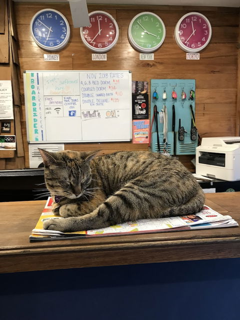 Boardrider Backpacker & Budget Motel - Lismore Accommodation 4