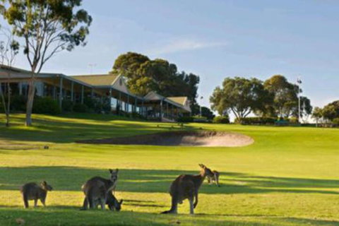 Early Settlers Motel Tocumwal - Lismore Accommodation 6