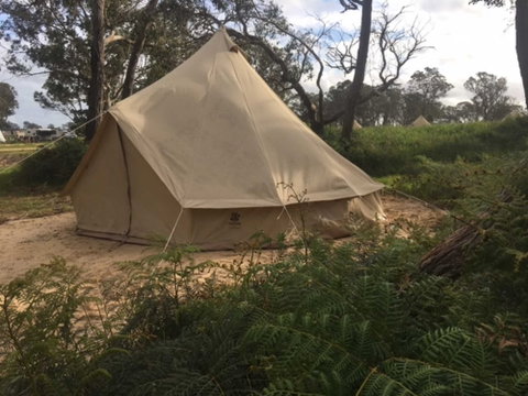 Coonawarra Bush Holiday Park - Lismore Accommodation 6