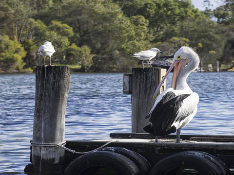 Mandurah Riverfront Holiday Rental - Lismore Accommodation 4