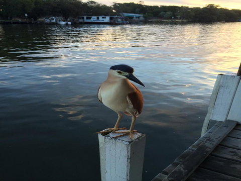 Mandurah Riverfront Holiday Rental - Lismore Accommodation 1