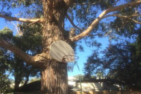 Inverloch Motel - Lismore Accommodation 5