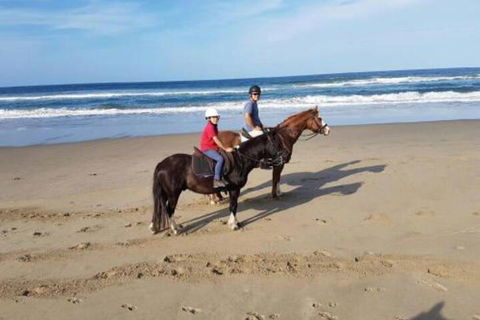 Nautica - Lismore Accommodation 1