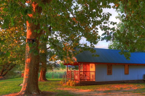 Colac Colac Caravan Park - Lismore Accommodation 5