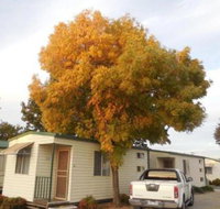 Wodonga Caravan  Cabin Park - Lismore Accommodation