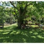 Bielbys Hideaway - Lismore Accommodation 0