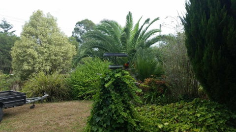 Cottage By The Bay - Lismore Accommodation 2