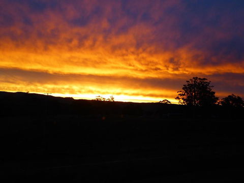 Buddha Cottage Springbrook - Lismore Accommodation 4