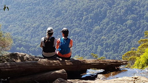 Buddha Cottage Springbrook - Lismore Accommodation 3