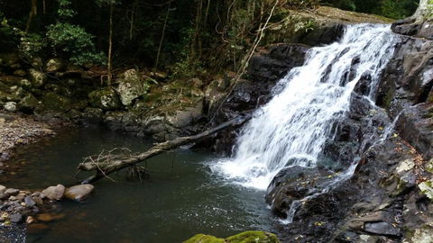 Buddha Cottage Springbrook - Lismore Accommodation 2