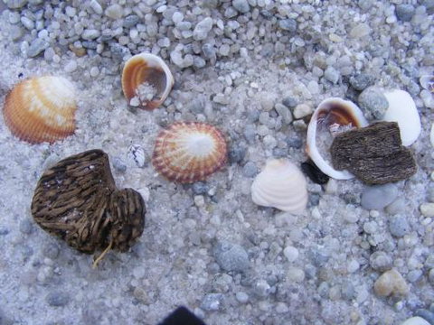 Scamander Dunes - Lismore Accommodation 2