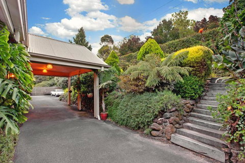 Wildwood Lodge - Lismore Accommodation 2