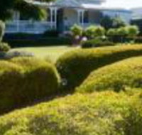 Whiskey Gully Wines - Lismore Accommodation