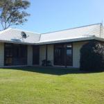 Molly Morgan Vineyard - Lismore Accommodation 0