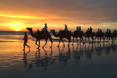 Beach House On Fox - Lismore Accommodation 0