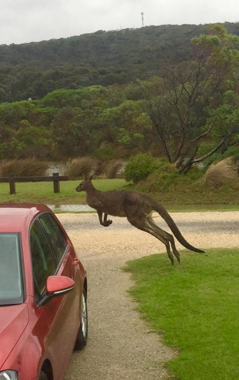 A River Bed Cottage - Lismore Accommodation 1