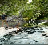 Sharlynn by the River - Lismore Accommodation