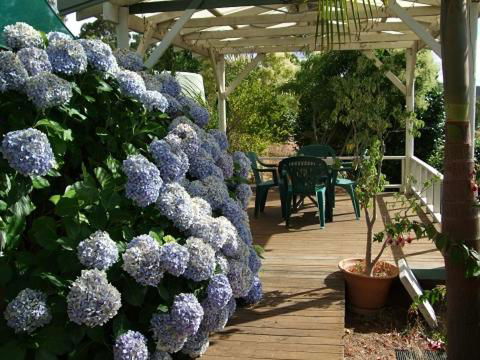 Nannup Riverview Cottage - Lismore Accommodation 3