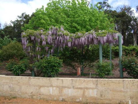 Nannup Riverview Cottage - Lismore Accommodation 5